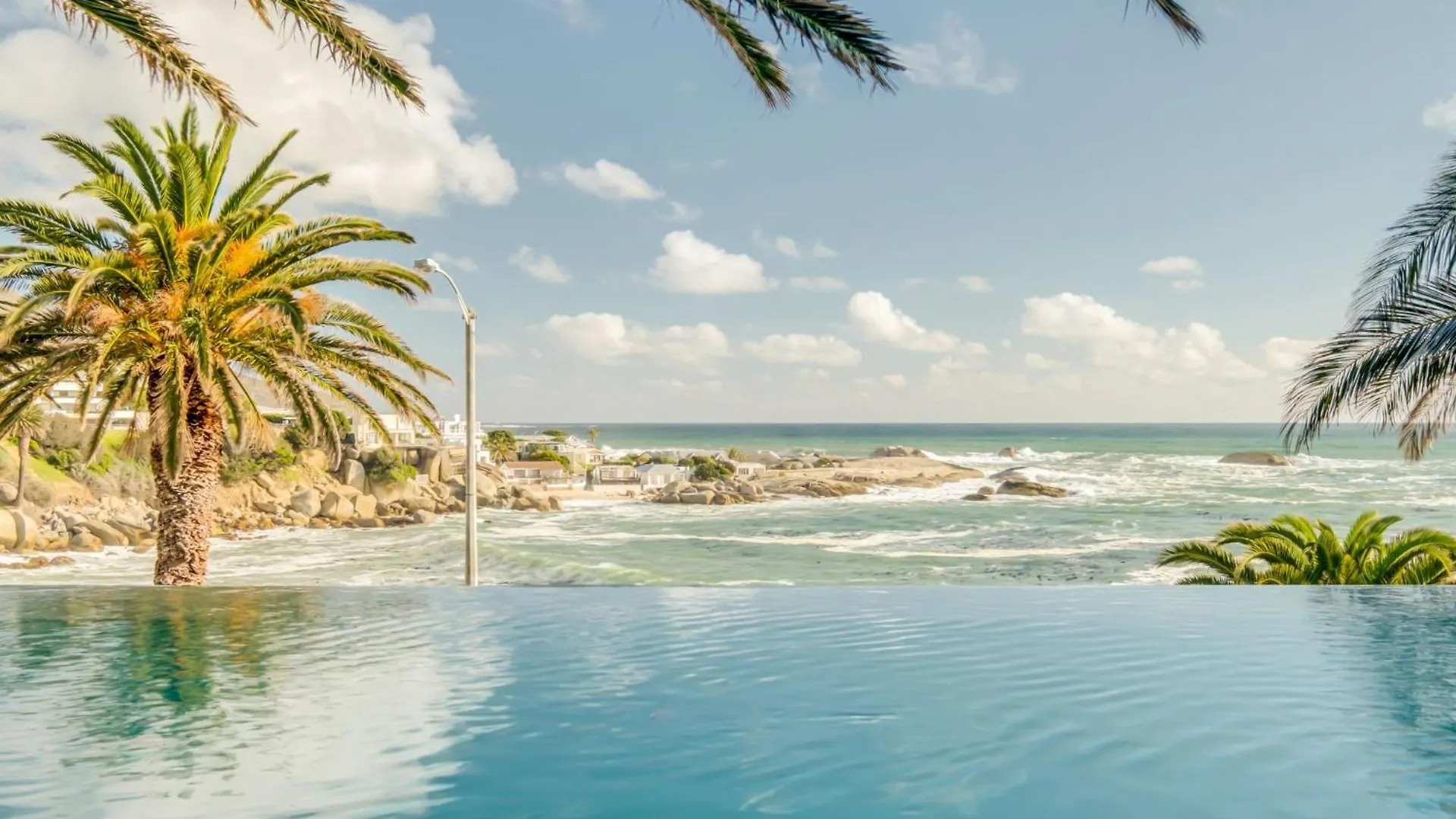 Camps Bay Terrace Palm Suite Cape Town Daire