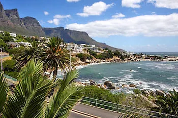 Camps Bay Terrace Palm Suite Cape Town Daire