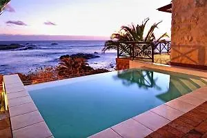 Camps Bay Terrace Palm Suite Cape Town Daire